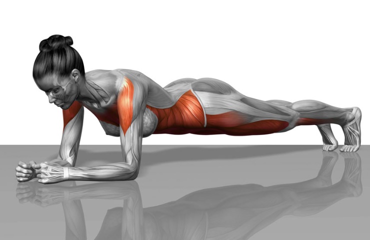 Plank esercizio calorie benefici posizione